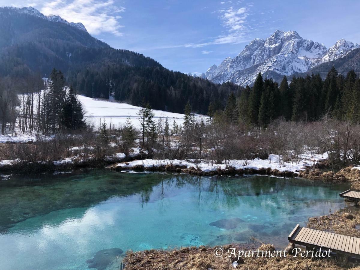 Vila Mojca Apartma Peridot - Center Kranjska Gora Zewnętrze zdjęcie