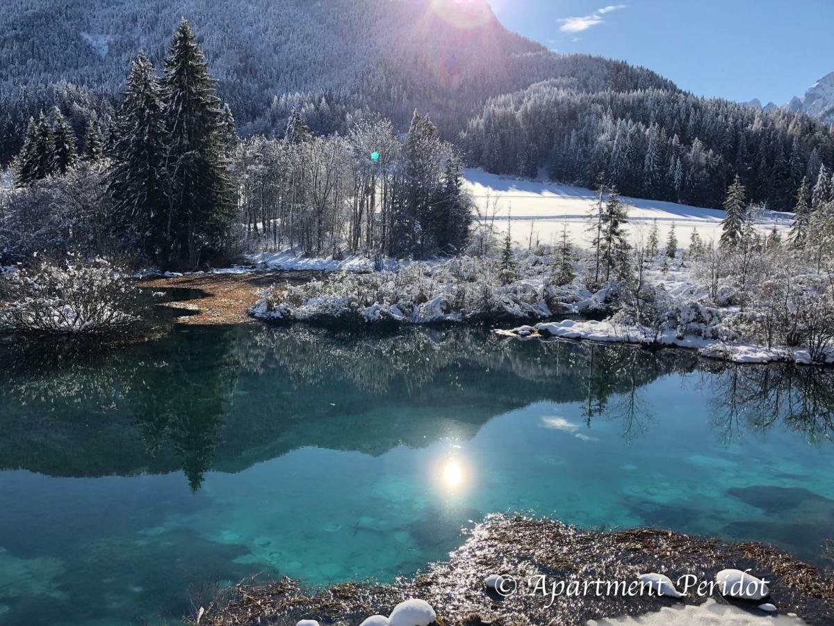 Vila Mojca Apartma Peridot - Center Kranjska Gora Zewnętrze zdjęcie