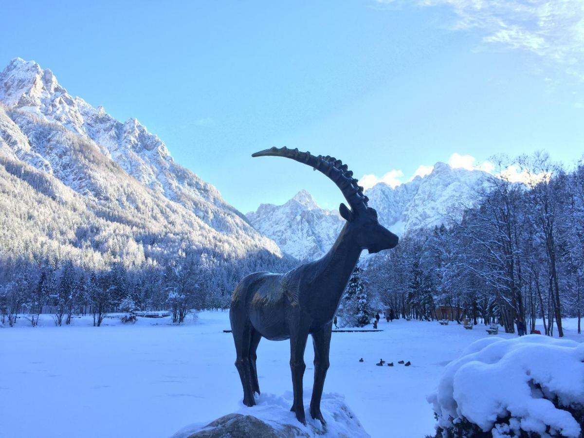 Vila Mojca Apartma Peridot - Center Kranjska Gora Zewnętrze zdjęcie