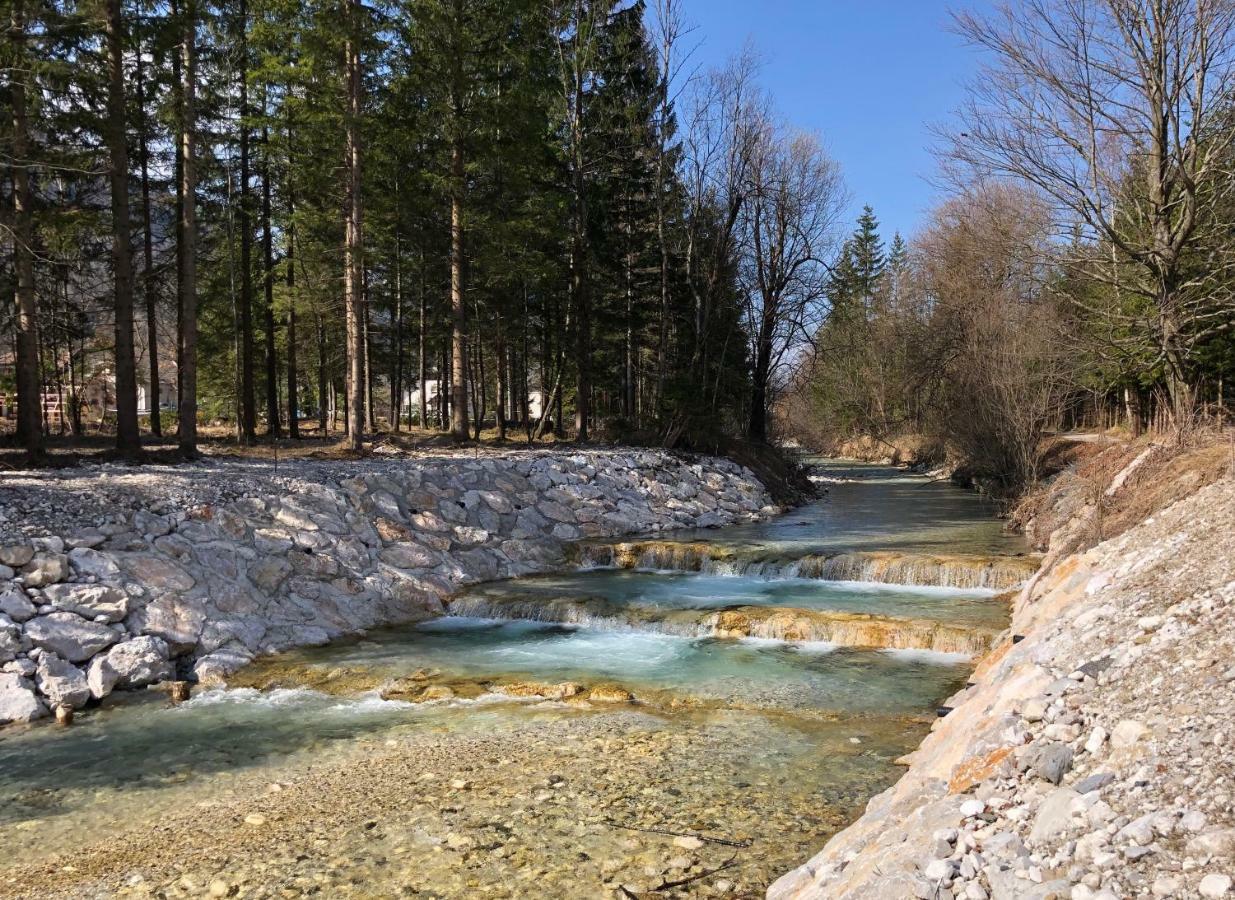 Vila Mojca Apartma Peridot - Center Kranjska Gora Zewnętrze zdjęcie