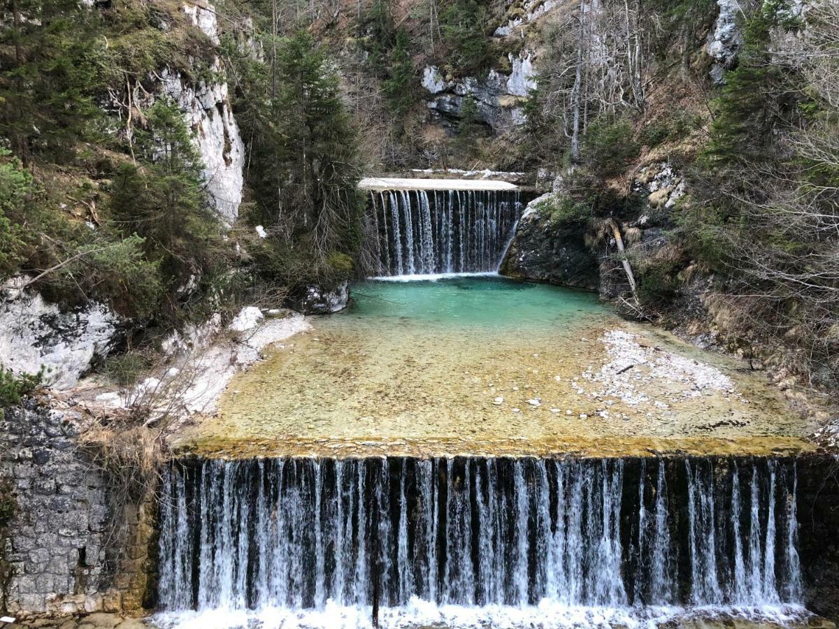 Vila Mojca Apartma Peridot - Center Kranjska Gora Zewnętrze zdjęcie