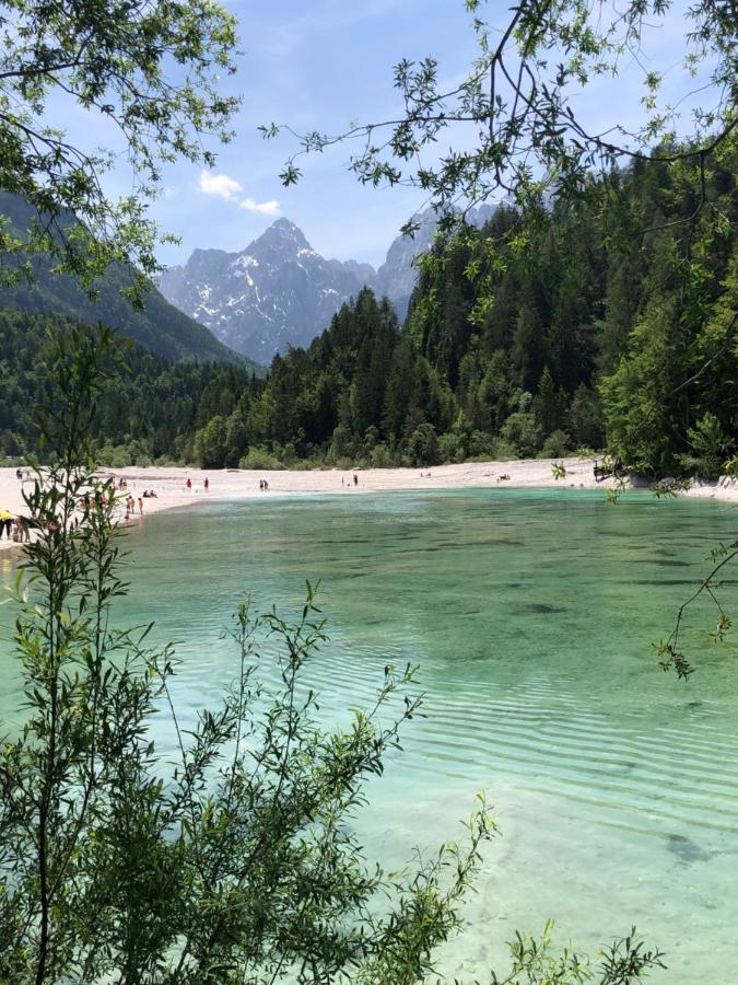 Vila Mojca Apartma Peridot - Center Kranjska Gora Zewnętrze zdjęcie