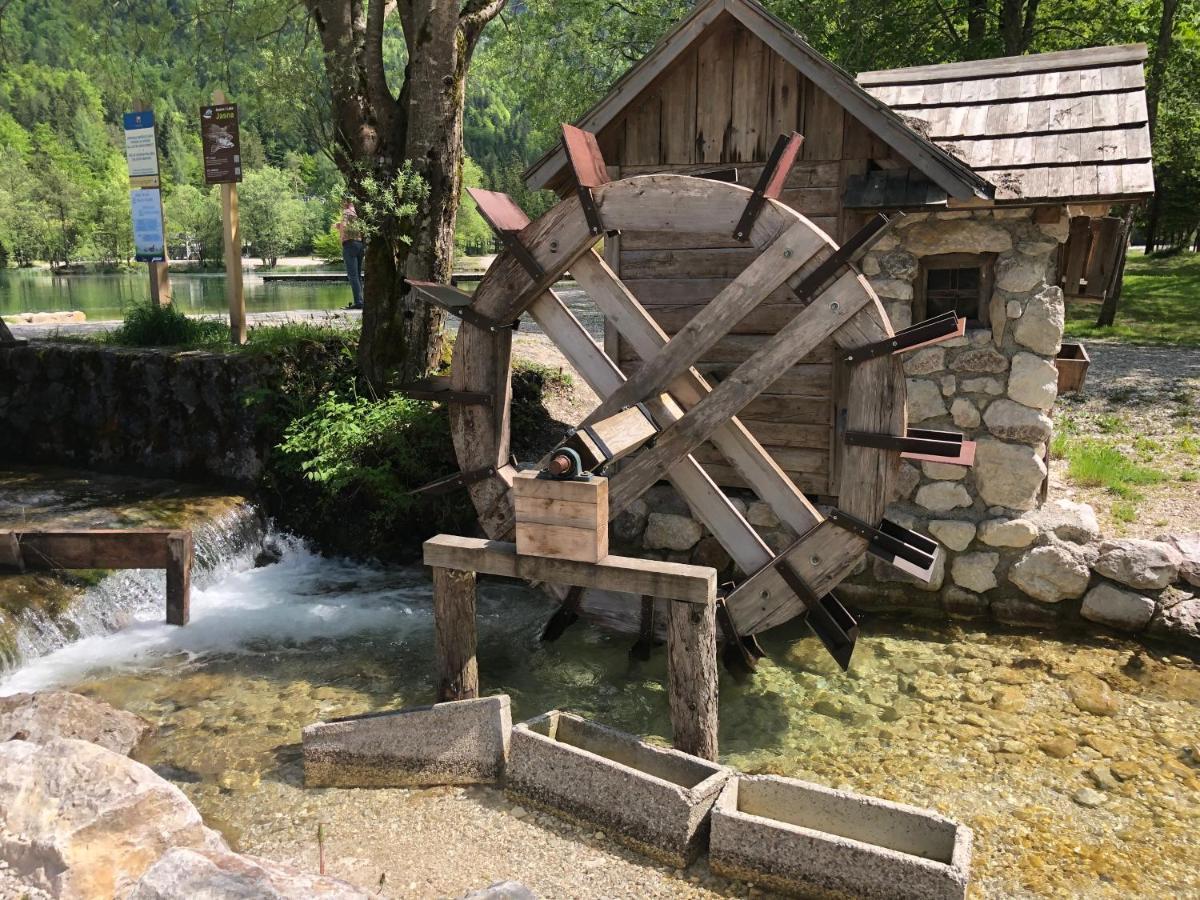 Vila Mojca Apartma Peridot - Center Kranjska Gora Zewnętrze zdjęcie