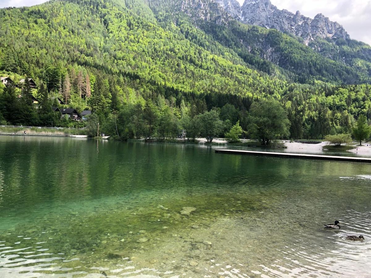 Vila Mojca Apartma Peridot - Center Kranjska Gora Zewnętrze zdjęcie
