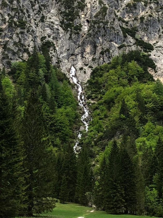 Vila Mojca Apartma Peridot - Center Kranjska Gora Zewnętrze zdjęcie